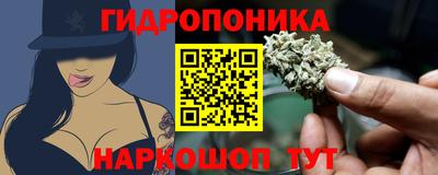 индика Апшеронск
