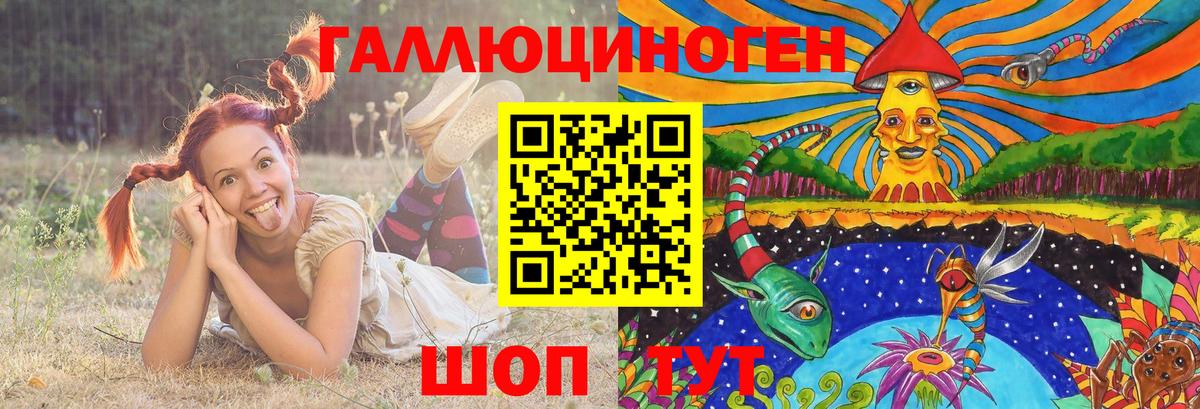 Псилоцибиновые грибы Psilocybine cubensis  где купить наркотик  Выборг  Вход с VPN  Псилоцибиновые грибы Magic Shrooms 